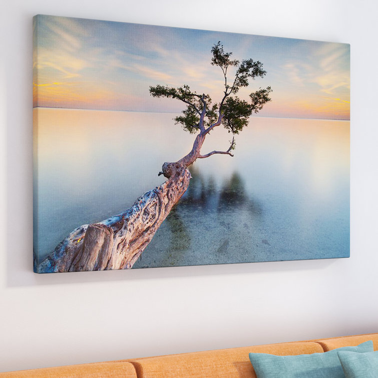 Bless international 'Water Tree XIV' Photographic Print & Reviews Wayfair